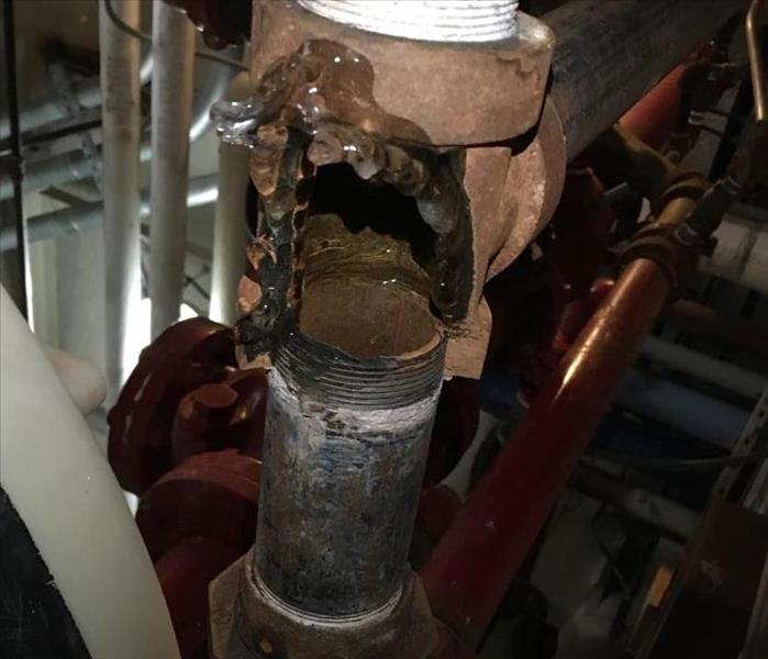 Frozen plumbing pipe that busted after freeze